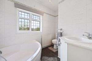 Photo 11- click for photo gallery